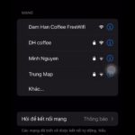 WifiMarrketing 5